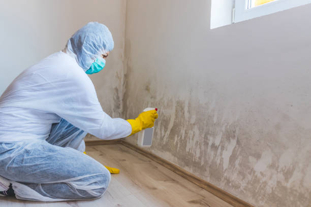 Licensed Bathroom Mold Removal service in Parksley, VA - WQB Mold Removal