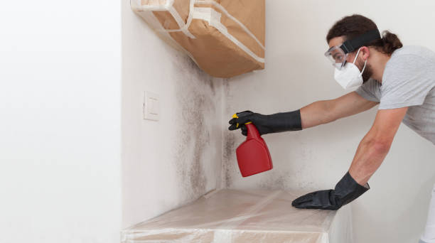 Professional Bathroom Mold Removal technician working in Parksley, VA