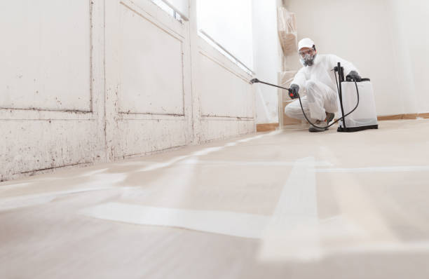 24/7 Emergency Bathroom Mold Removal experts in Parksley, VA