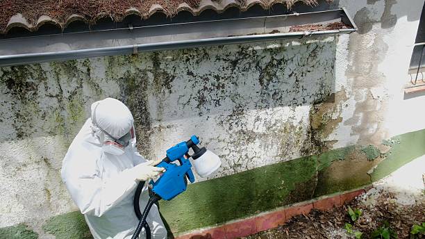Top rated local Bathroom Mold Removal specialists in Parksley, VA